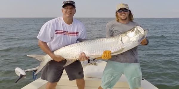 Picture of Tarpon Nearshore